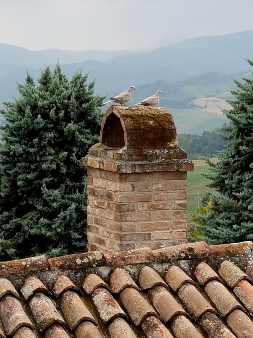 La Palazzina Bed & Breakfast *