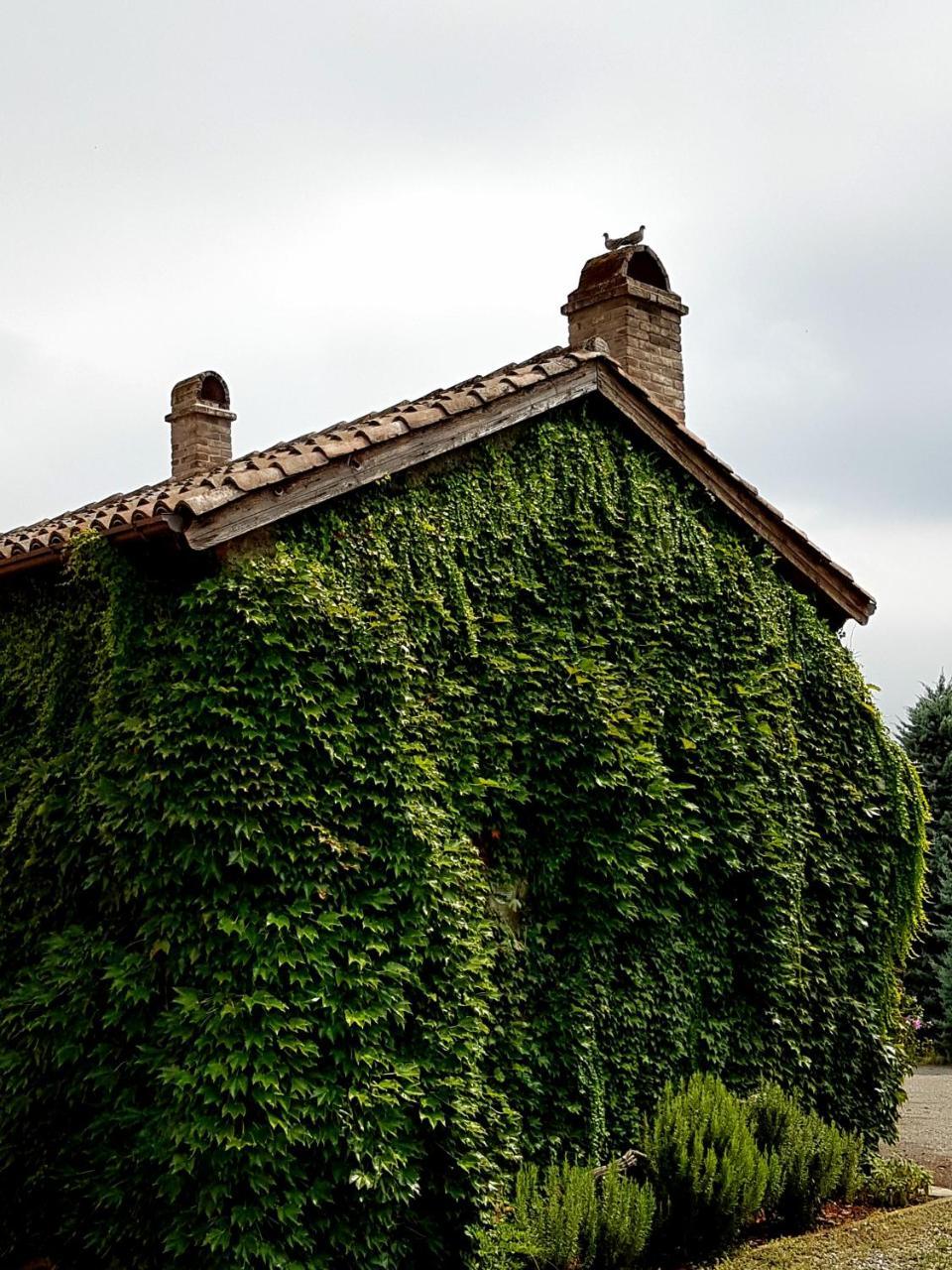 La Palazzina * Agazzano