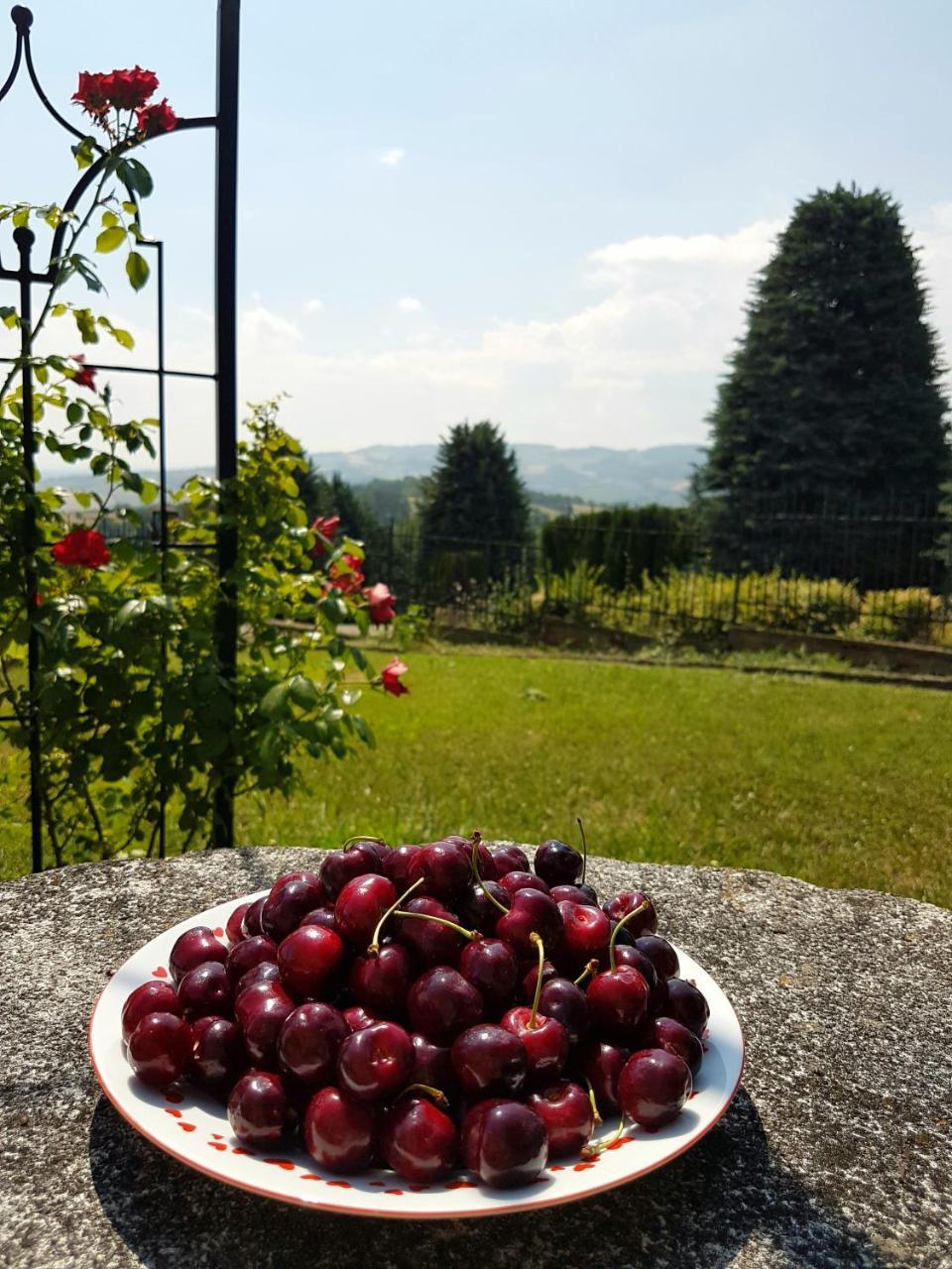 La Palazzina Bed & Breakfast Agazzano